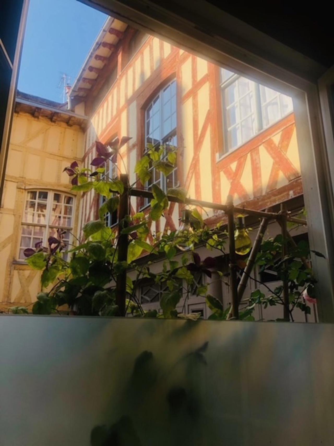 Atelier Des Glycines, Troyes Bouchon De Champagne, Sublime Site Patrimonial Διαμέρισμα Εξωτερικό φωτογραφία
